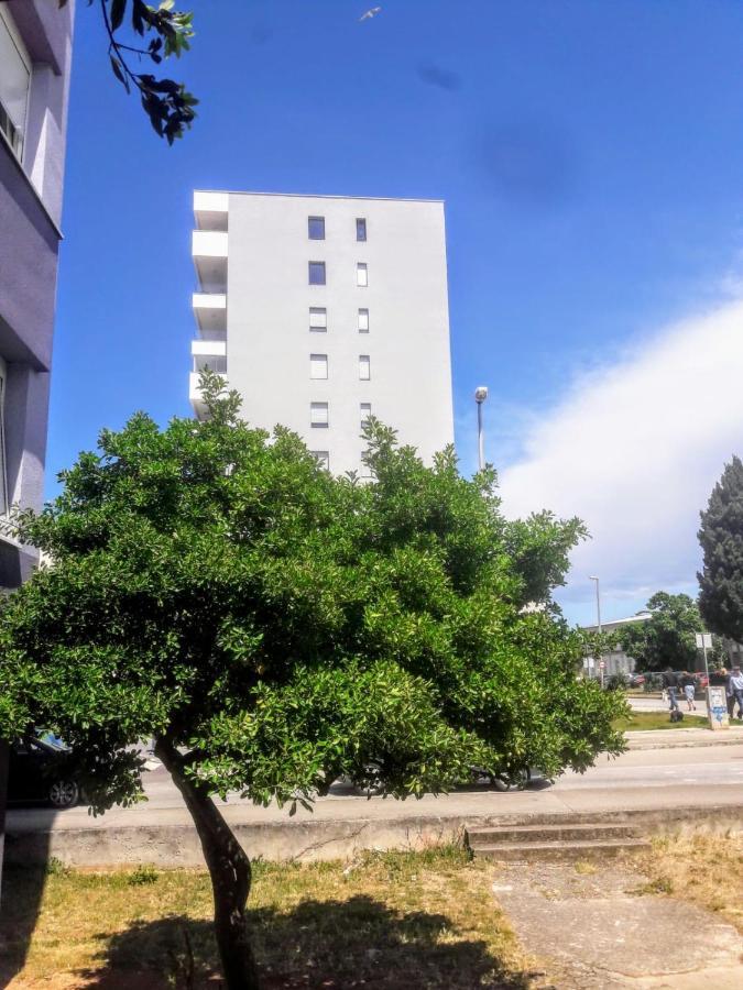 Studio Apartman Moonlight Zára Kültér fotó